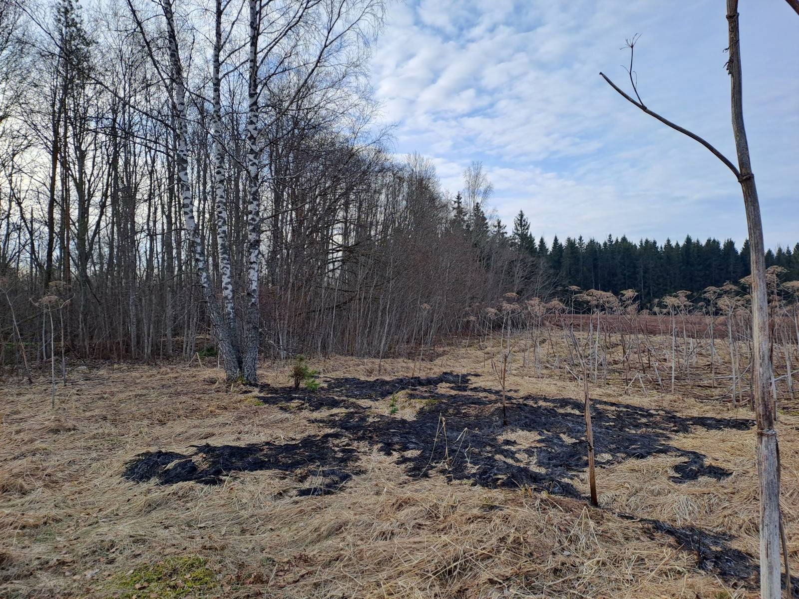 Latvijā nokritušais drons identificēts kā Ukrainas izcelsmes