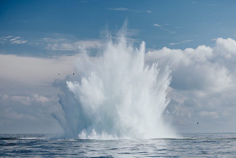 Baltijas valstu un ASV ūdenslīdēji kopīgi trenējas mācībās “DIVEX 26”